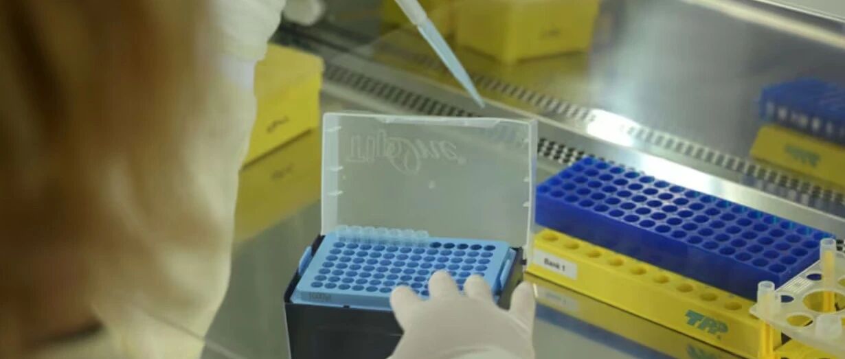 荷兰医疗数据泄露｜超50万患者隐私流入暗网，教你如何自查和防范风险