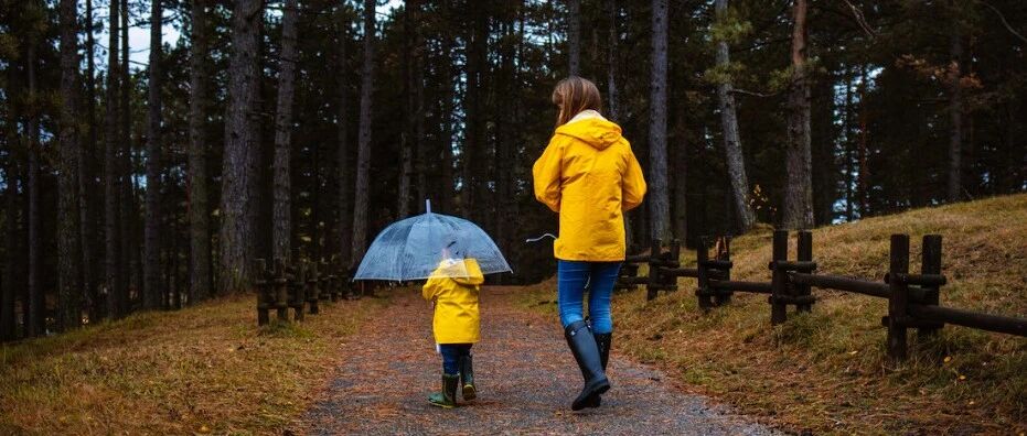 荷兰冬天怎么玩?12月玩法指南:圣诞、光影、溜冰、漫步一网打尽~