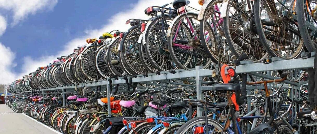 外籍人士的14个特征，是你吗？在荷兰生活的人都中过招！