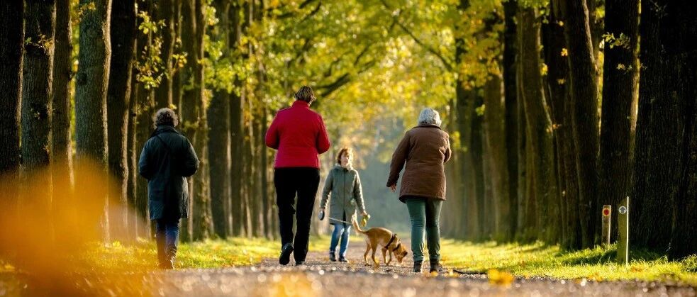 荷兰气温回"春"至17°C，狮子座流星雨浪漫登场～鹿特丹本周末全线停运！NS迎对手？“廉价铁路”进军荷兰！