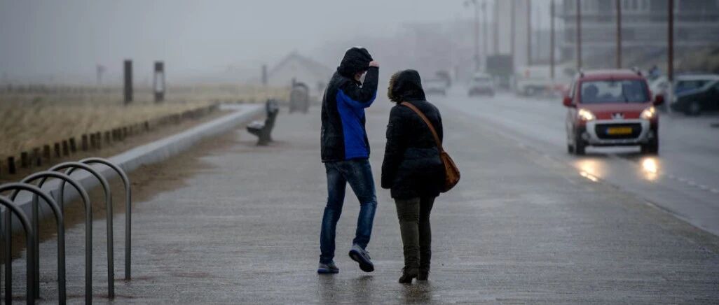 荷兰连发多起结冰路面事故！本周雾+雨+冷交替，周四明显回暖…