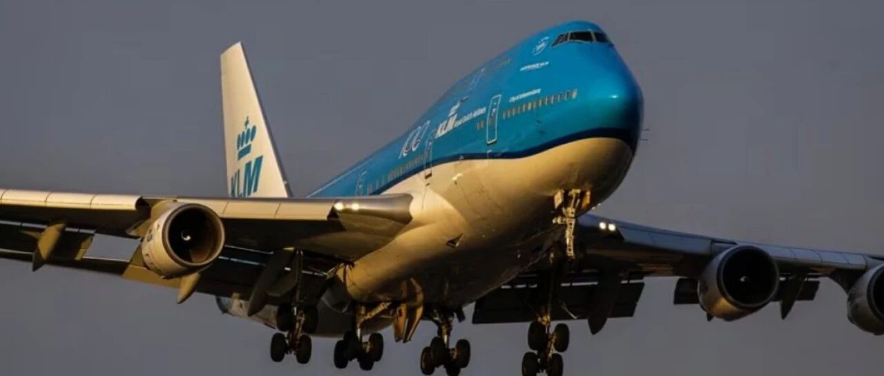 荷航KLM航班惊现“偷渡老鼠”,导致超250名乘客滞留加勒比…