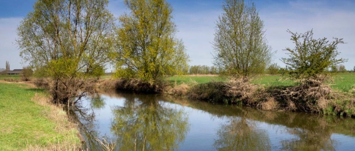 本周荷兰暖到离谱!12月气温飙到15℃,周末还有80颗/小时流星雨…