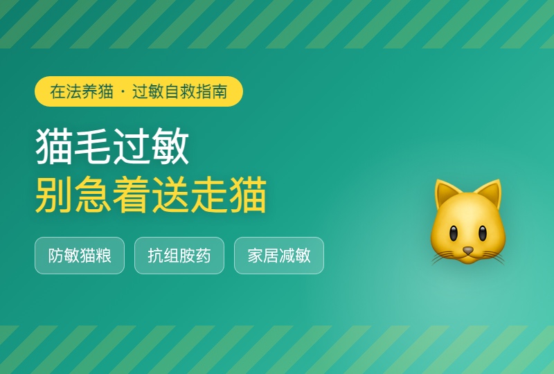 猫毛过敏自救指南：别急着送走猫，从源头到症状这样应对